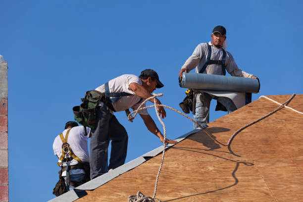 Professional Roofing Contractor in Norco, LA